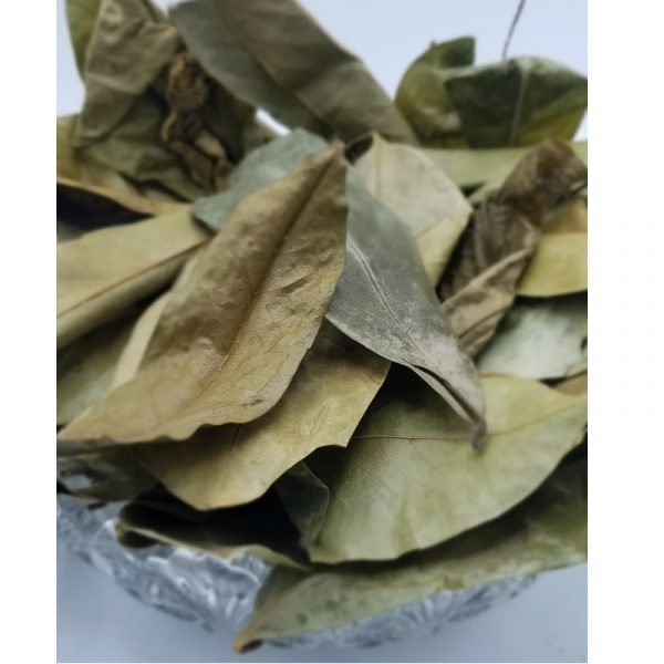 Soursop Leaves